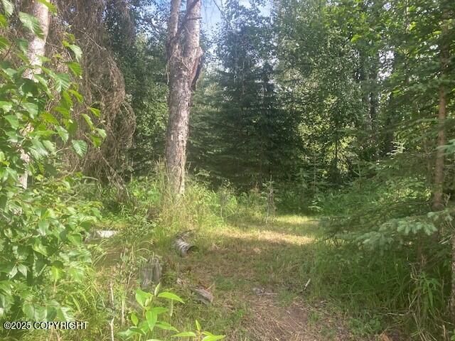 39856 Olivia Street, Kenai, AK 99611