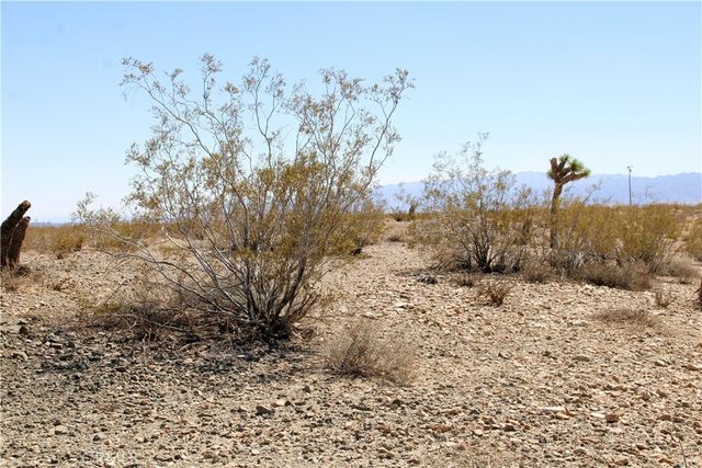 5 AC Sunny Vista Road, Joshua Tree, CA 92252