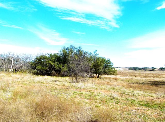 6500 Fm 586, Bangs, TX 76823