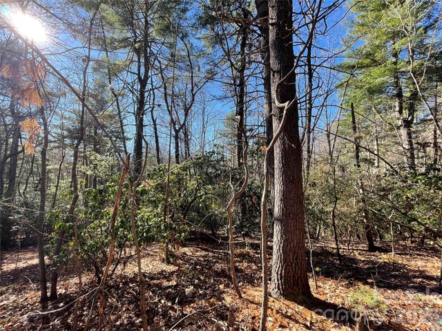 000 Didrikson Way 244, Hendersonville, NC 28739