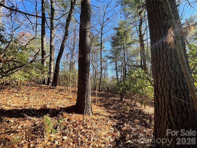 000 Didrikson Way 244, Hendersonville, NC 28739