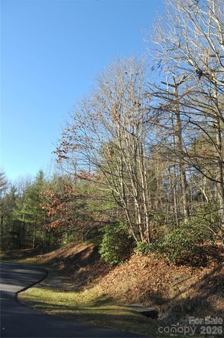 000 Didrikson Way 244, Hendersonville, NC 28739