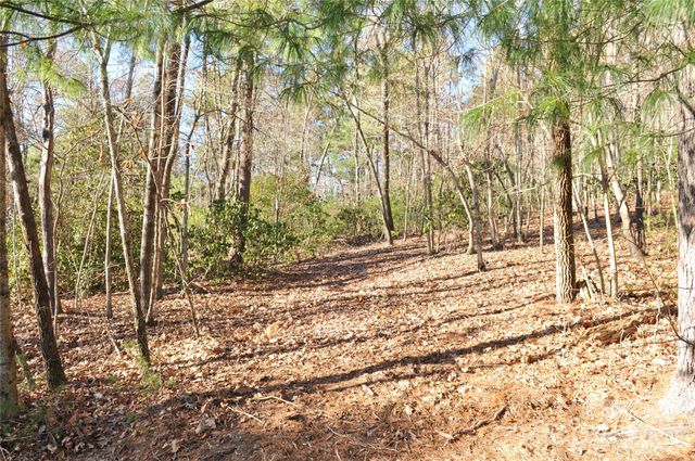 000 Didrikson Way 244, Hendersonville, NC 28739