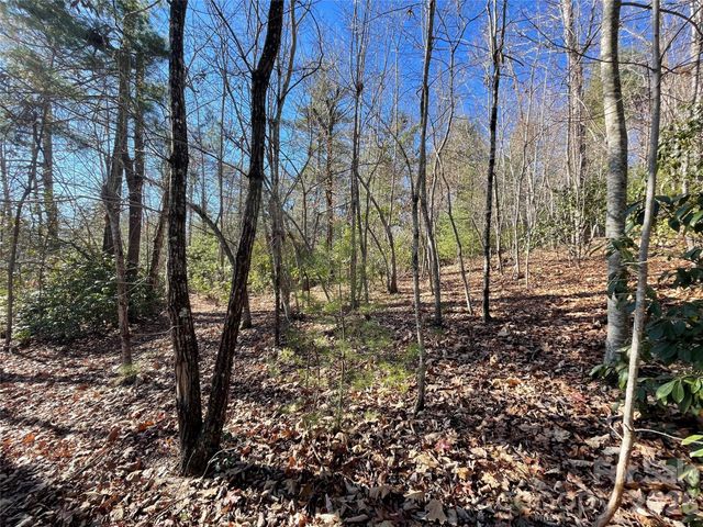 000 Didrikson Way 244, Hendersonville, NC 28739