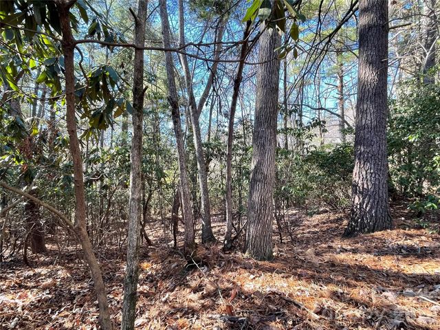 000 Didrikson Way 244, Hendersonville, NC 28739