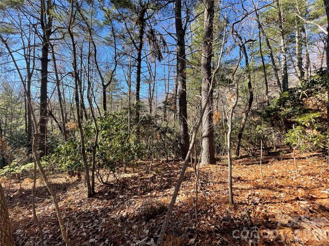 000 Didrikson Way 244, Hendersonville, NC 28739