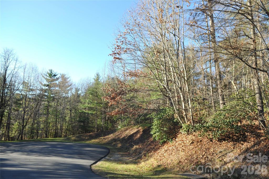 000 Didrikson Way 244, Hendersonville, NC 28739