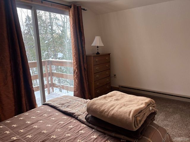 10736 N Cannonball Court, Bessemer, MI 49911