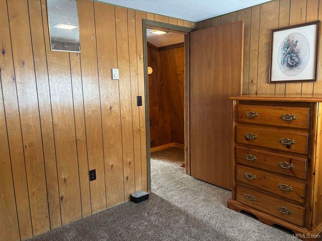 10736 N Cannonball Court, Bessemer, MI 49911