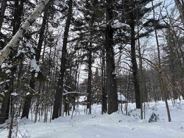 10736 N Cannonball Court, Bessemer, MI 49911