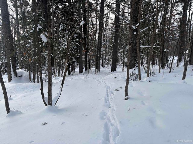 10736 N Cannonball Court, Bessemer, MI 49911