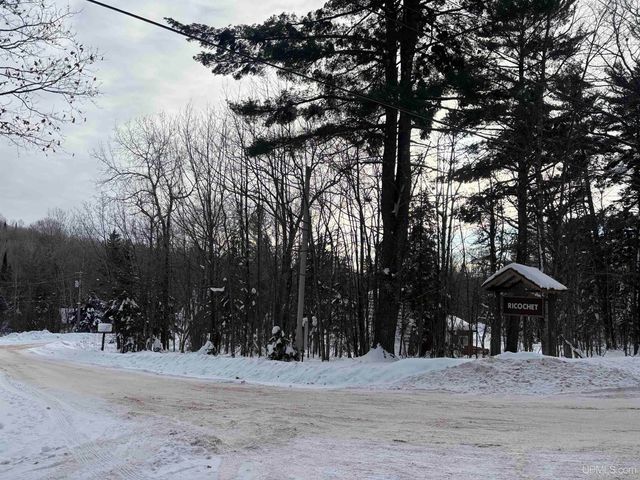 10736 N Cannonball Court, Bessemer, MI 49911