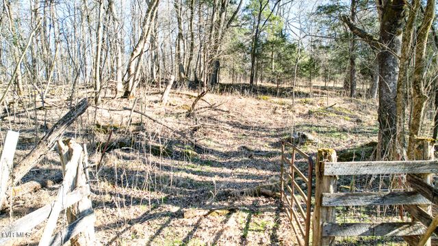 820 Doak Hensley Road Road, Afton, TN 37616