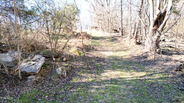 820 Doak Hensley Road Road, Afton, TN 37616