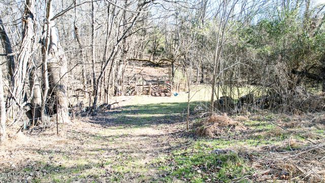 820 Doak Hensley Road Road, Afton, TN 37616