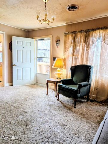 820 Doak Hensley Road Road, Afton, TN 37616