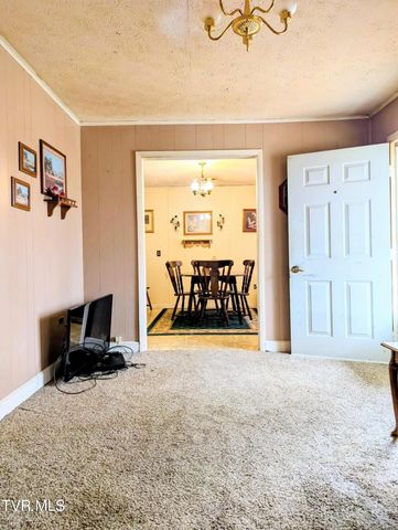 820 Doak Hensley Road Road, Afton, TN 37616