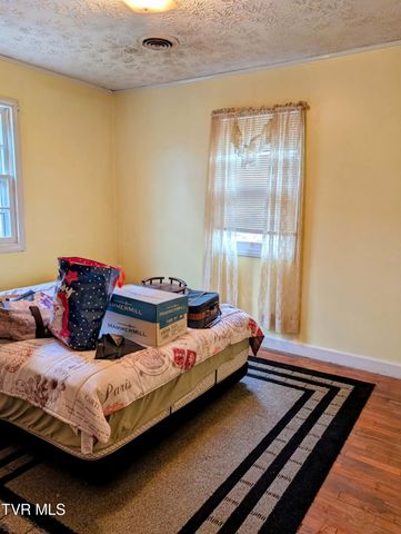 820 Doak Hensley Road Road, Afton, TN 37616