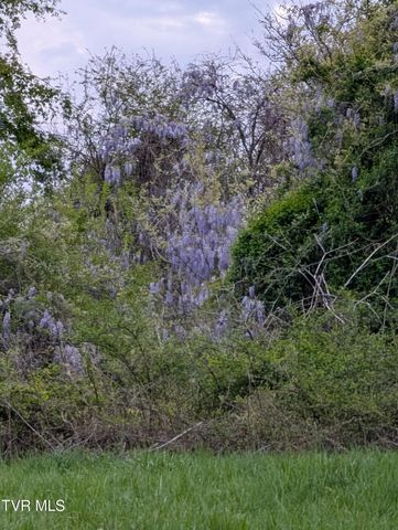 820 Doak Hensley Road Road, Afton, TN 37616