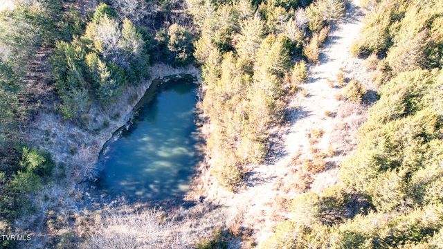 820 Doak Hensley Road Road, Afton, TN 37616