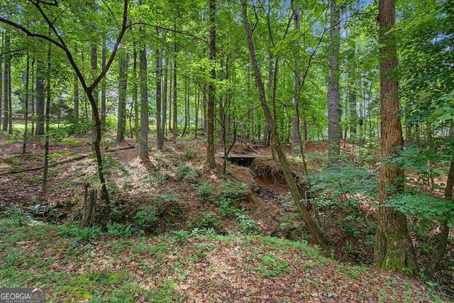 1031 Riverside Road, Buford, GA 30518