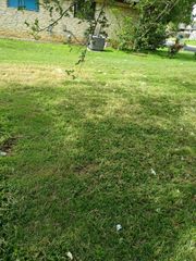 4700 Bundyhill DR, Austin, TX 78723