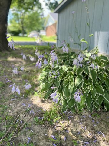 134 Cherokee Avenue, Russell Springs, KY 42642