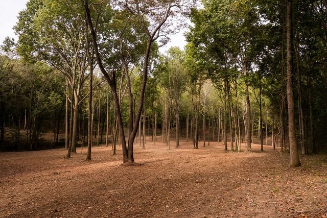 1520 Natchez Rd, Franklin, TN 37069