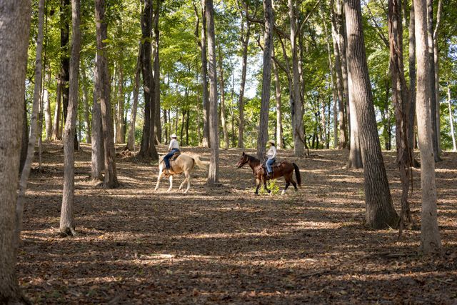 1520 Natchez Rd, Franklin, TN 37069