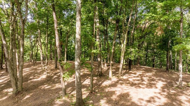 1520 Natchez Rd, Franklin, TN 37069