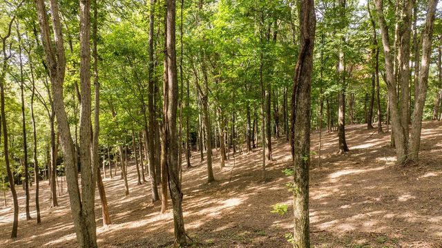 1520 Natchez Rd, Franklin, TN 37069