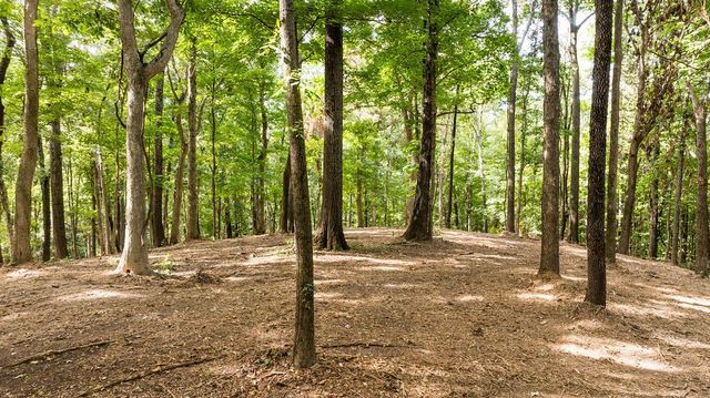 1520 Natchez Rd, Franklin, TN 37069