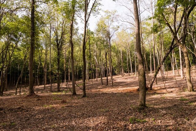 1520 Natchez Rd, Franklin, TN 37069