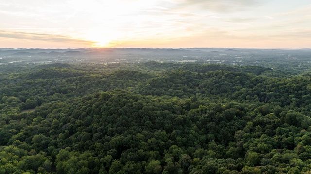 1520 Natchez Rd, Franklin, TN 37069