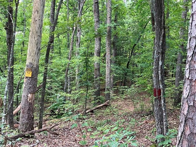 97 Concord Trail, Murphy, NC 28906