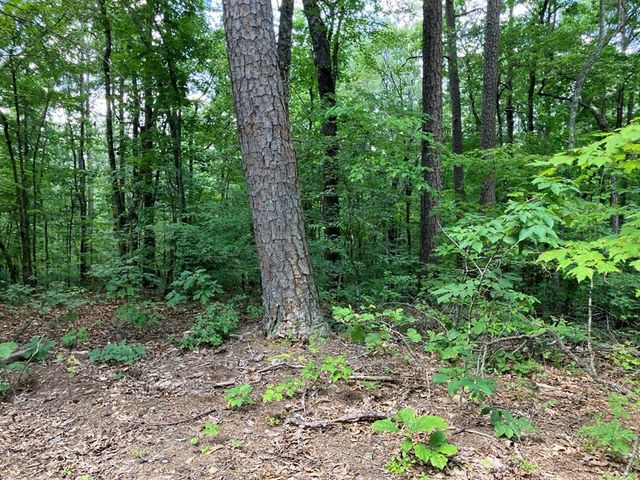 97 Concord Trail, Murphy, NC 28906
