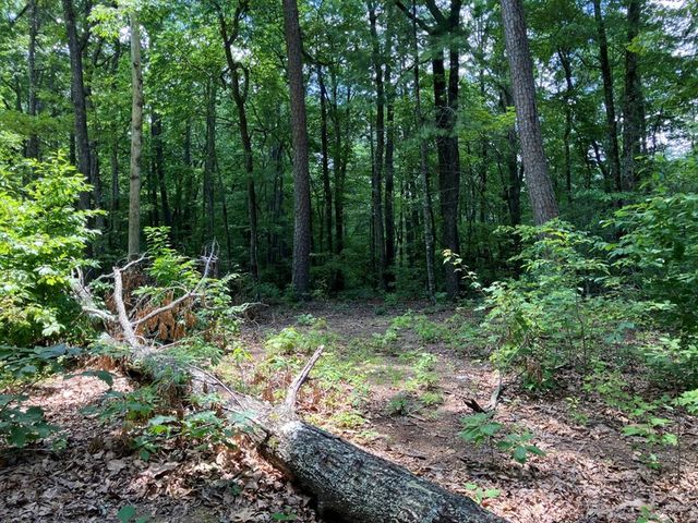 97 Concord Trail, Murphy, NC 28906