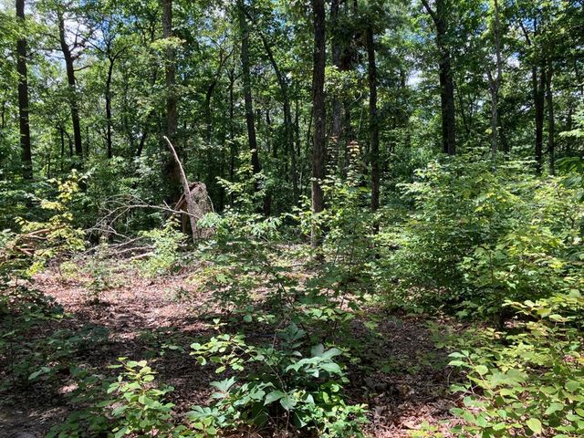 97 Concord Trail, Murphy, NC 28906