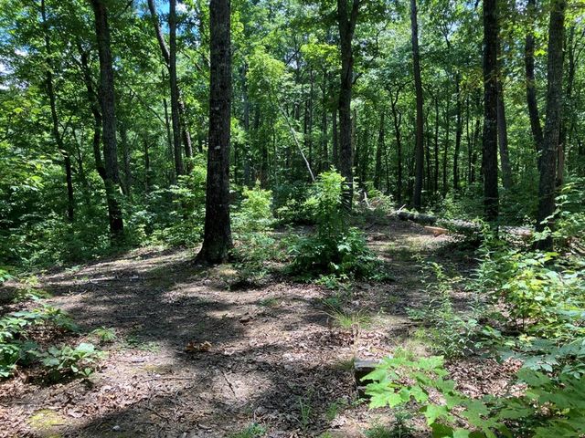 97 Concord Trail, Murphy, NC 28906