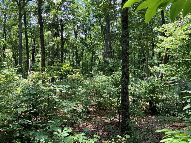 97 Concord Trail, Murphy, NC 28906