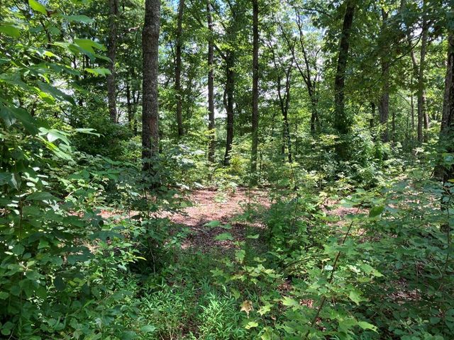 97 Concord Trail, Murphy, NC 28906