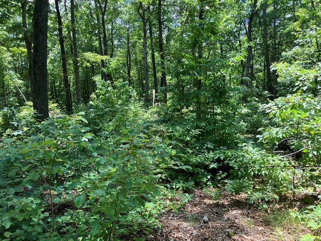 97 Concord Trail, Murphy, NC 28906