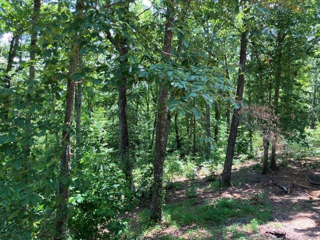 97 Concord Trail, Murphy, NC 28906