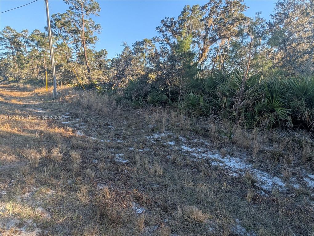 6145 Alcala Avenue, Sebring, FL 33872