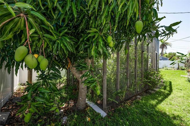 9083 BRIARWOOD DRIVE, Seminole, FL 33772