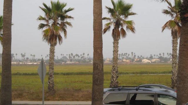 1460 Seacoast, Imperial Beach, CA 91932