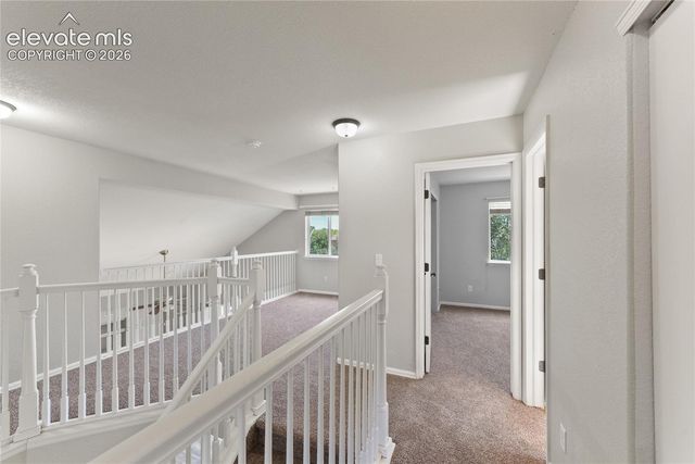 5163 Belle Star Drive, Colorado Springs, CO 80922