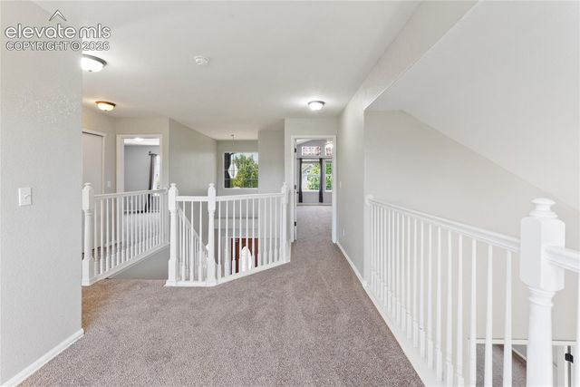 5163 Belle Star Drive, Colorado Springs, CO 80922