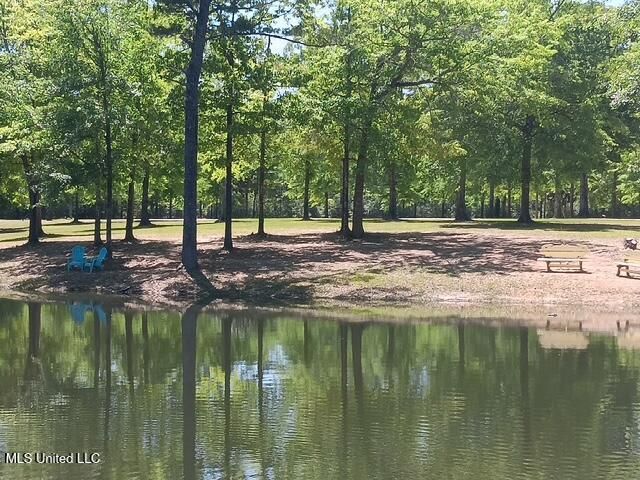 9900 Little Buck, Vancleave, MS 39565