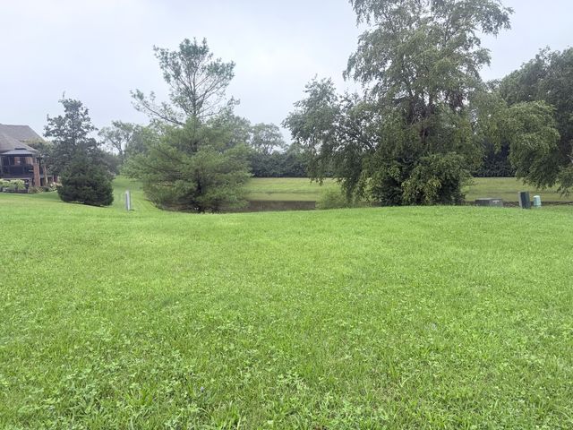 25538 S Devonshire Lane, Monee, IL 60449